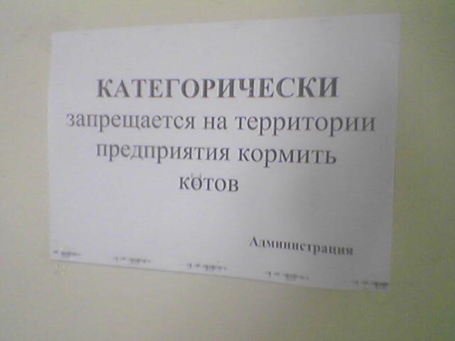 ������������� �����������!