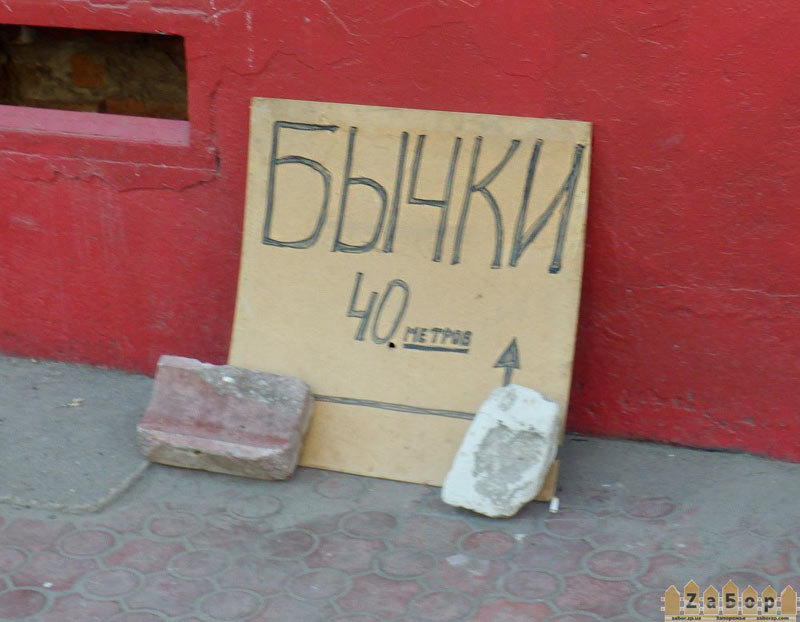 ����� 40 ������ �� ������� (���������)