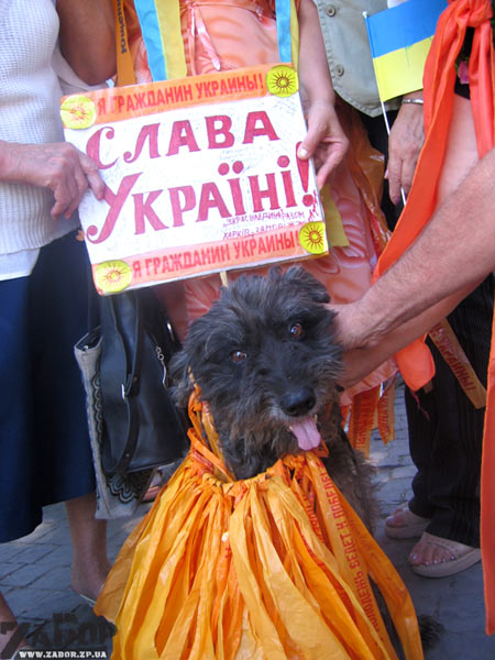 ������� ������������� ���������