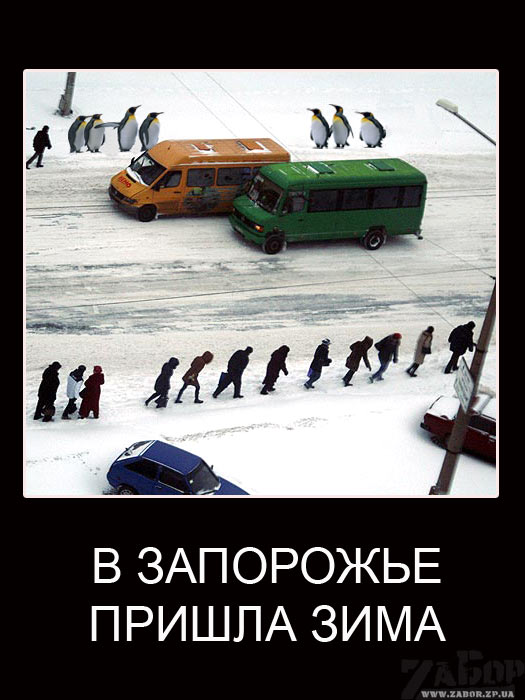 � ��������� ������ ����