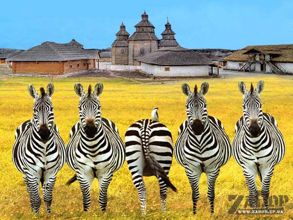 ����������� ������������ �������