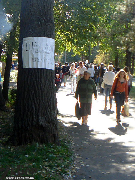 ����� ���������� ����� �� ��������� � ������� ���� (���������)