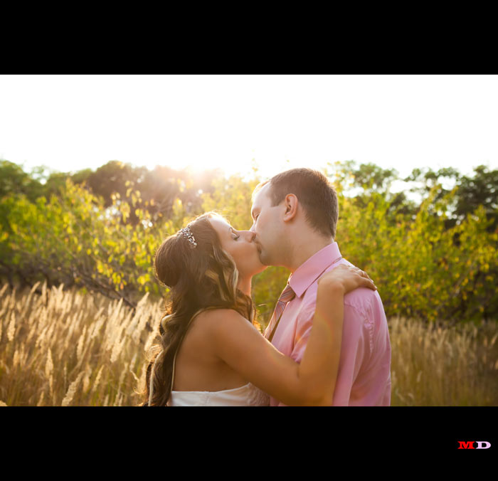 �������� ����� ����� (���������)