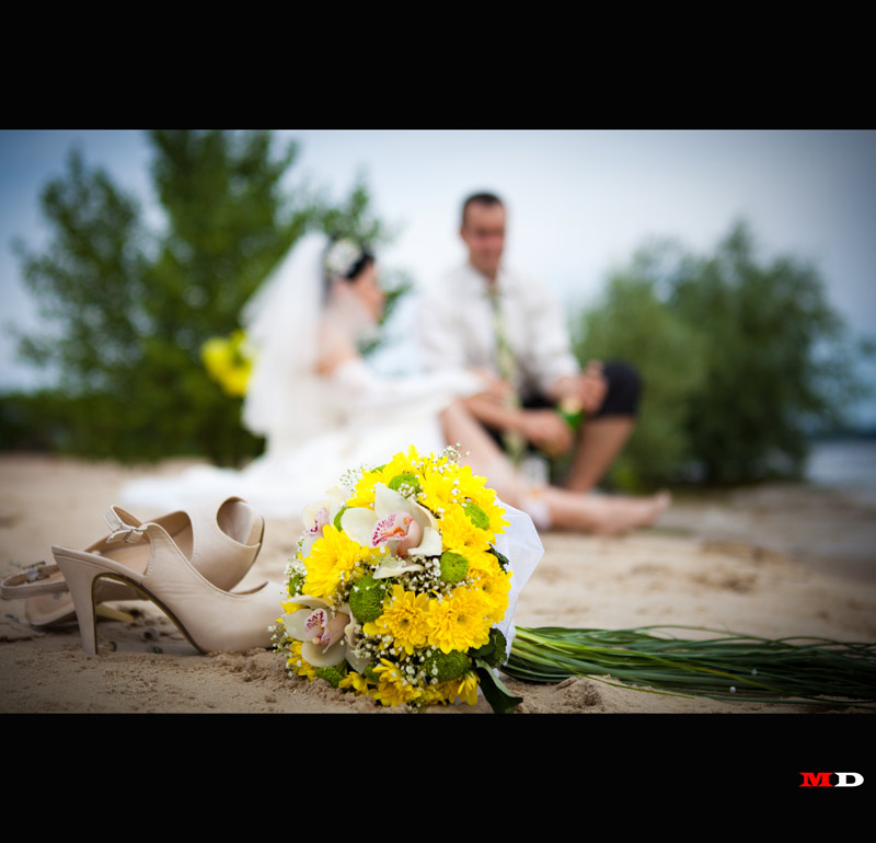 �������� ����� ����� (���������)