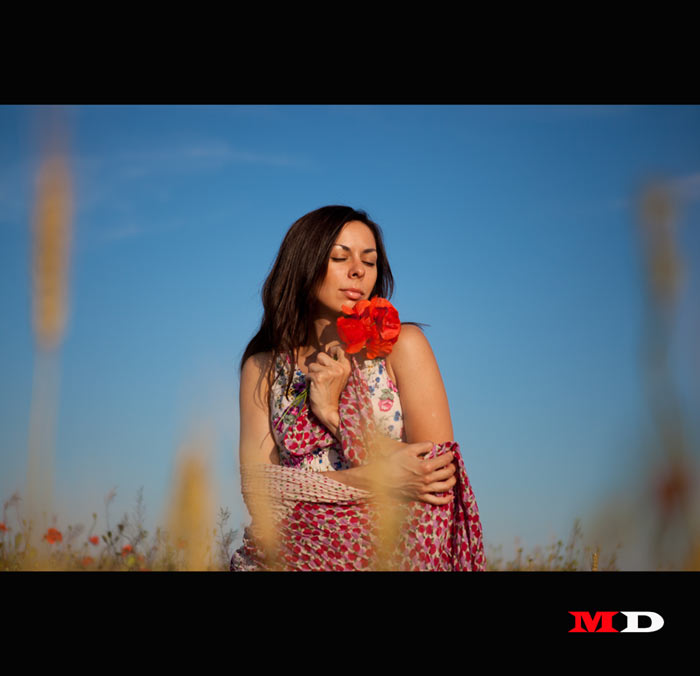 �������� ����� ����� (���������)