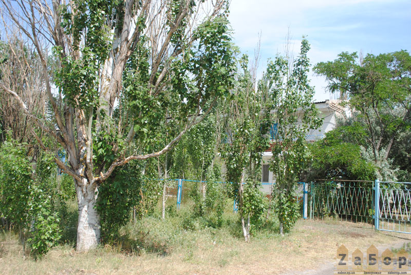 ����� - ���� ������ � ���. ���������� (��������)