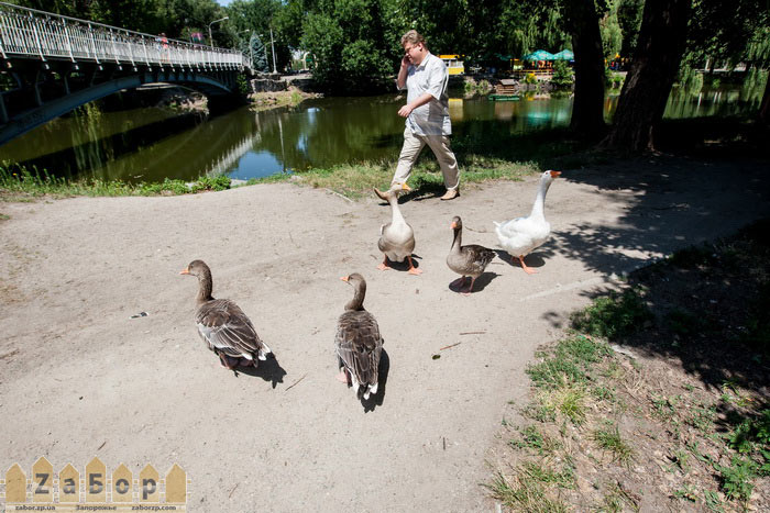 ������ ����������� � ������� ���� (���������)