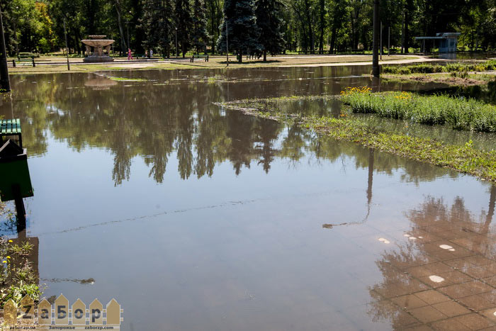 ������ ����������� � ������� ���� (���������)