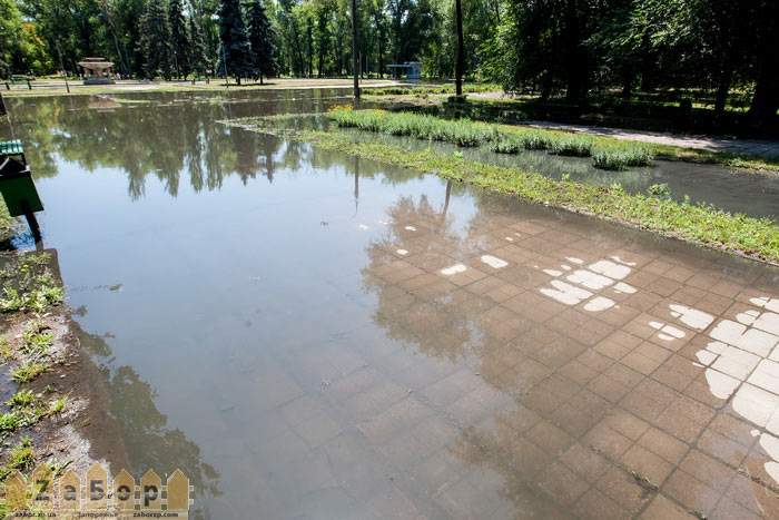 ������ ����������� � ������� ���� (���������)