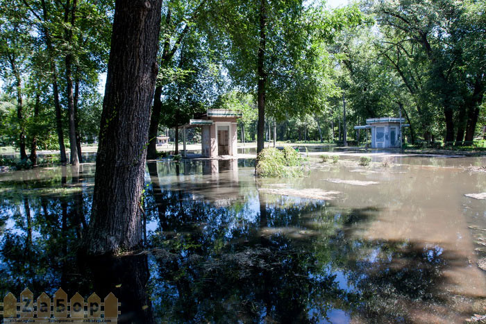 ������ ����������� � ������� ���� (���������)