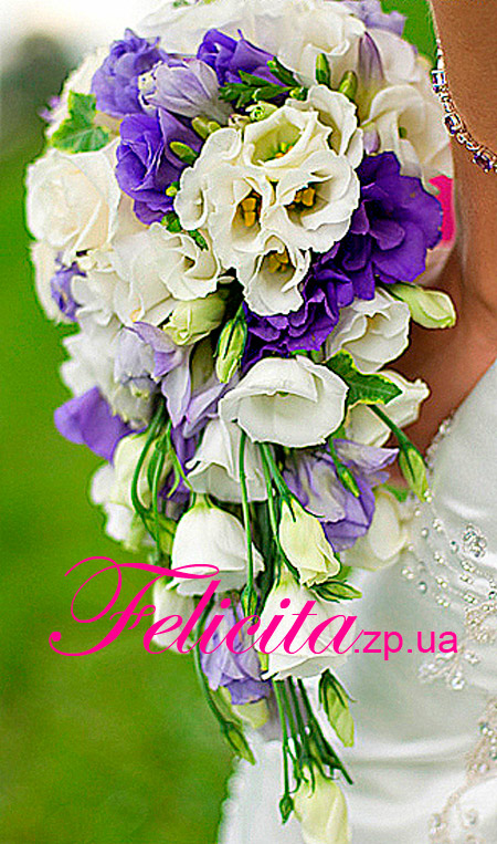 �������� (���������� ������) � ���������