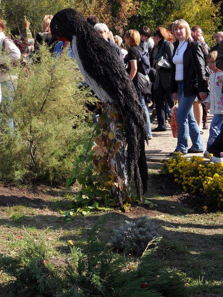 ���������� �� ������. �����