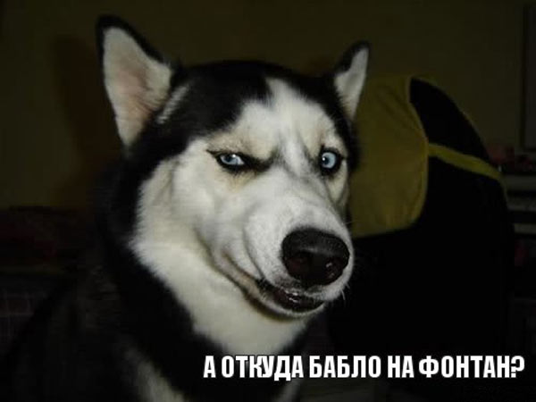 ������-��������� � ����������� �������