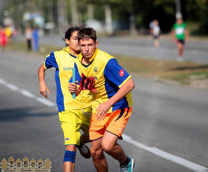 ���� ����������� � ������ � ���������