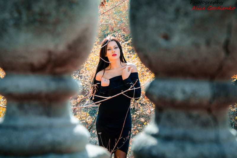 ����� ��������� (��������) � ���������