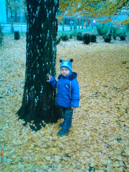 ������� �����.