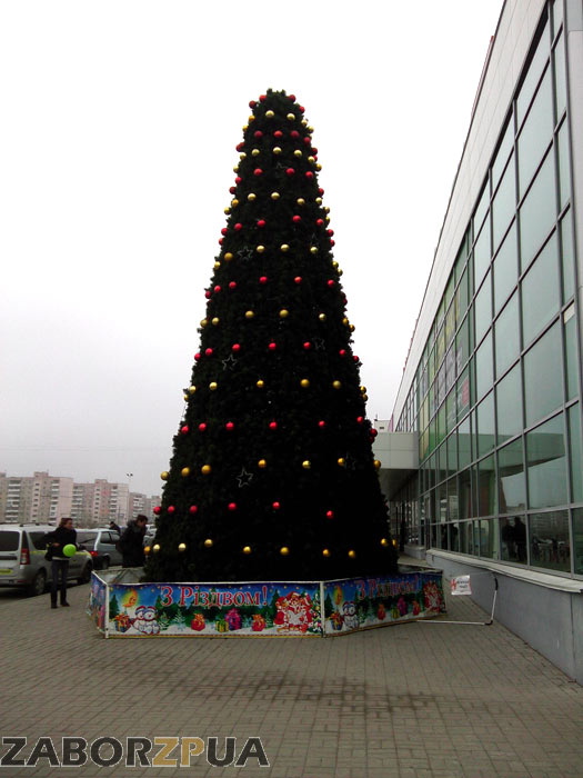 ���� ����� ������� (���������)