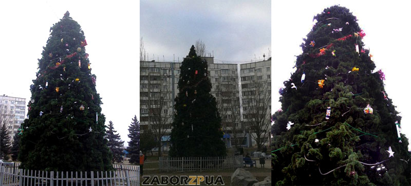 ����������� ���� ���������� ������ ���������