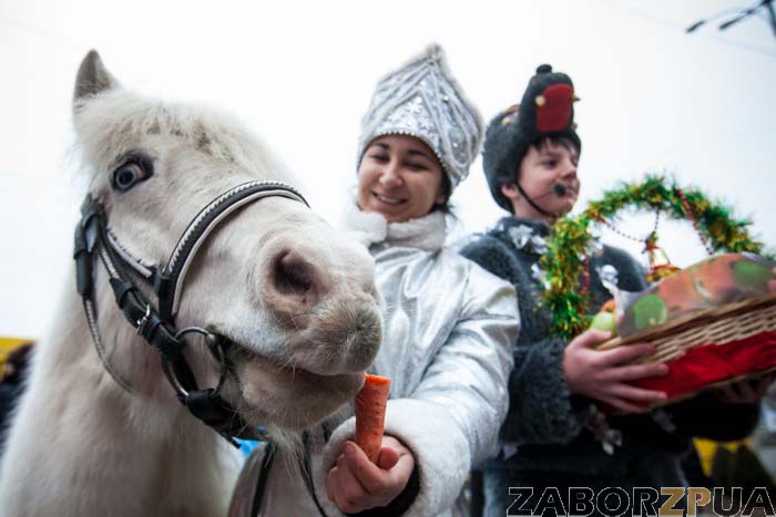 � ��������� ������ ����� ����� �������