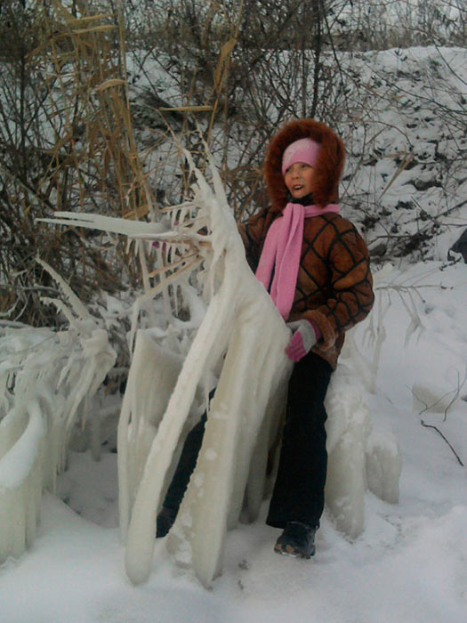 ���� ������.