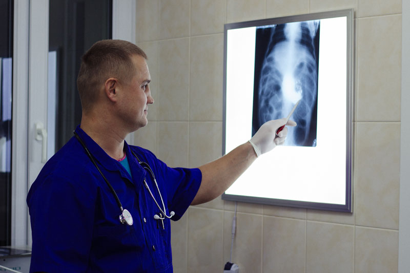 "����" (������������ �������)