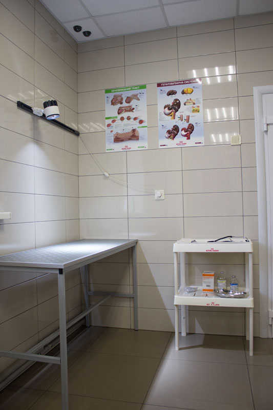 ���� (������������ �������) � ���������