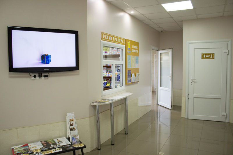 ���� (������������ �������) � ���������