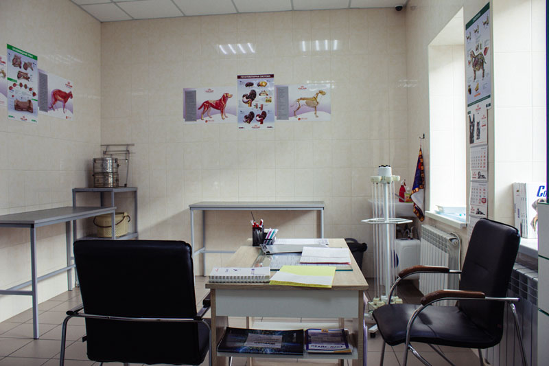 ���� (������������ �������) � ���������