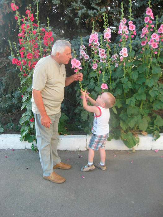 � ��� ��� �� ������?