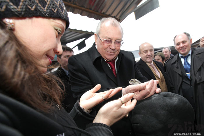 ��� � �������� �� ������ �������� � ���������