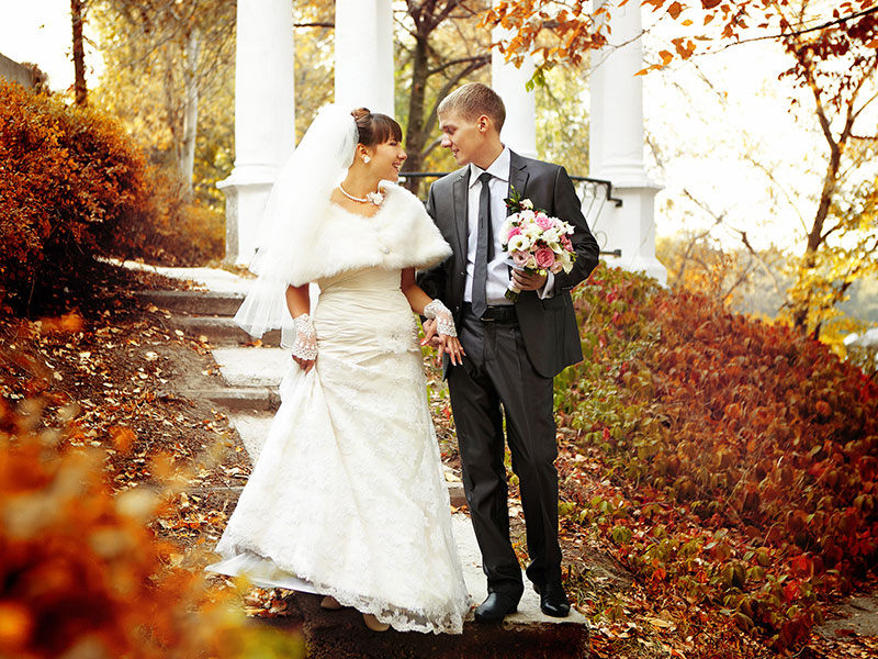 ��������� ���� ������� �������� (���������)