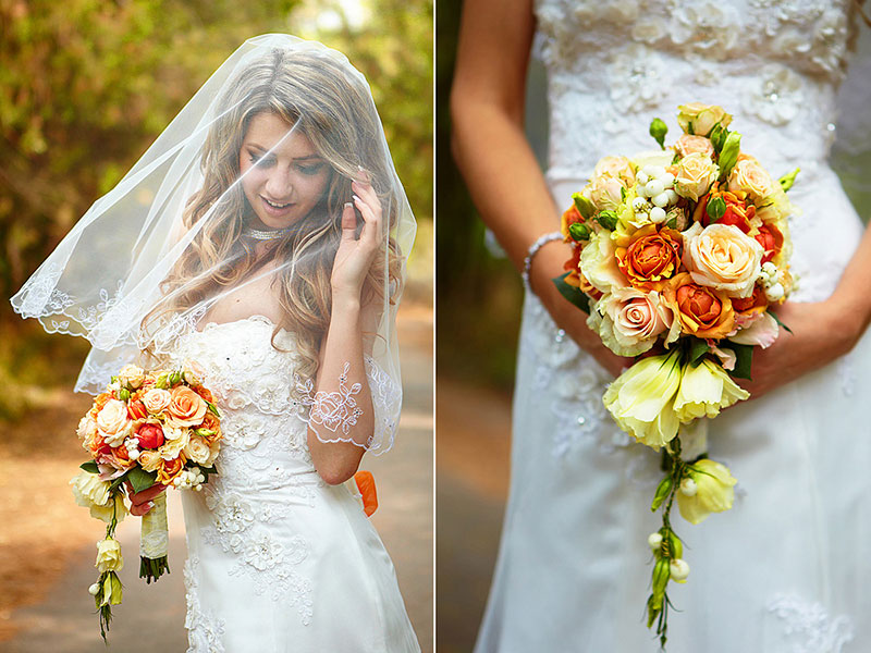 ��������� ���� ������� �������� (���������)