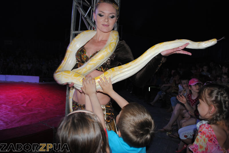 ����-������ ��� � ���������