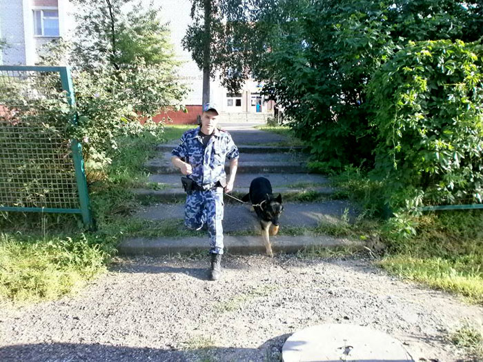 �������������� ������� �� ������� � ���������