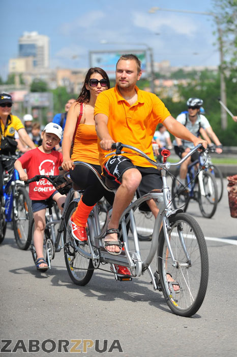 �������� � ���������