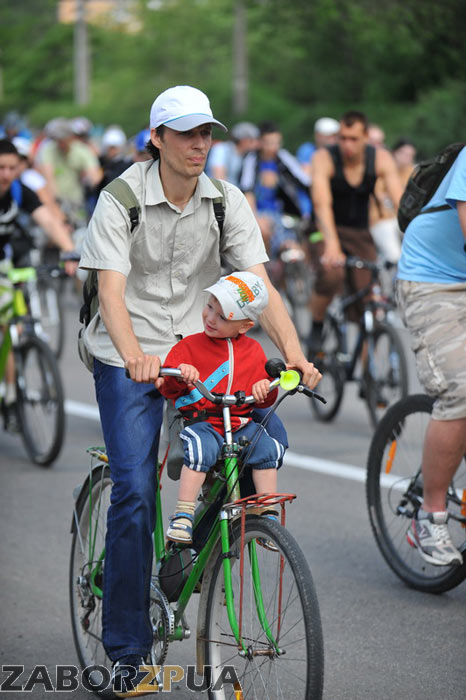 �������� � ���������