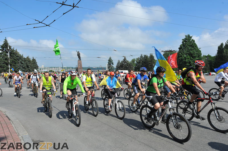 �������� � ���������