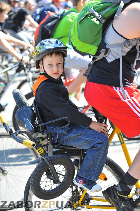 �������� � ���������