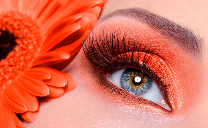 "Beauty Service" (������ �������, ��������� ����� � ��������� �������) � ���������