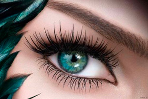 "Beauty Service" (������ �������, ��������� ����� � ��������� �������) � ���������