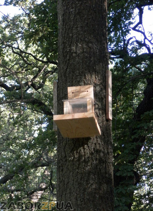 ���������� � ������� (���������)