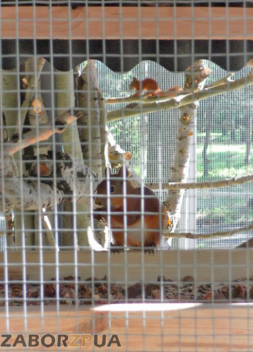 ����� � ������� � ������� ���� (���������)