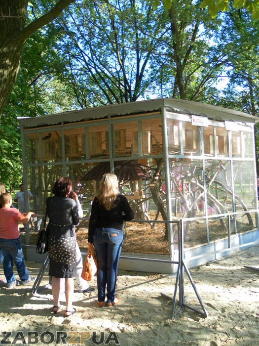 ����� � ������� � ������� ���� (���������)