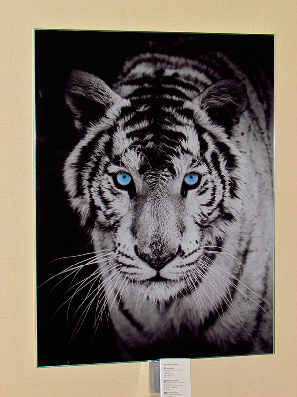 �� ������� (������������ ������ �� �������������� ��������) � ���������