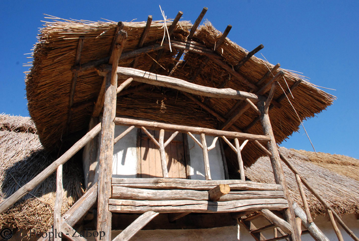 ����������� ����