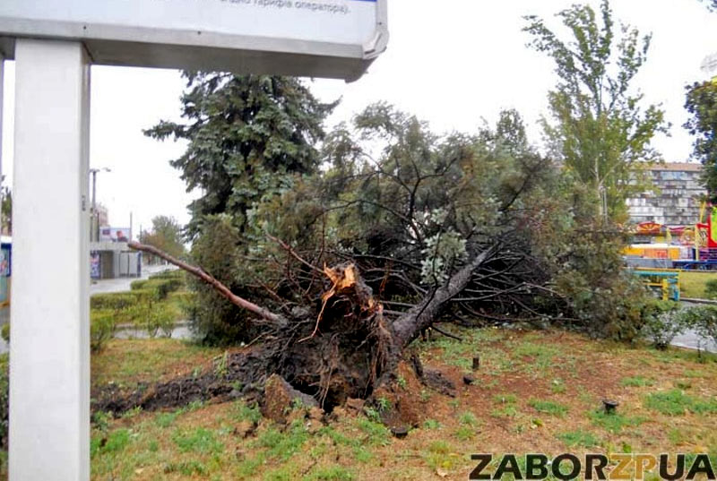 �� ��. ������������ (���������) ��������� ������