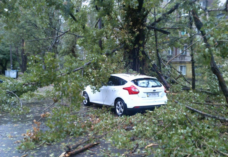 �� ������ ����� ������ (���������)