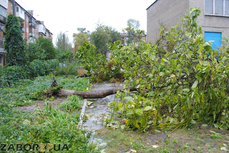 � ����� ���� (���������) ����� ����� ��� �������