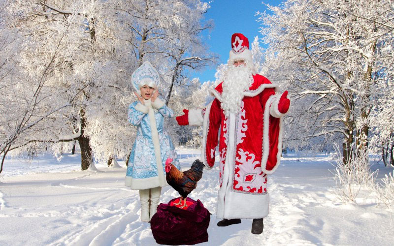 ��� ����� � ���������� �� ���-������ "������������