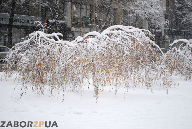 ����������� ������